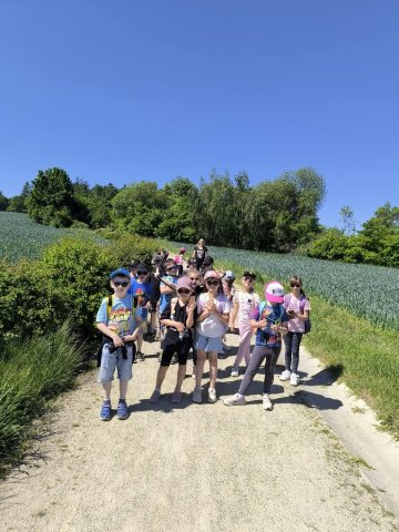 olese1b 29
